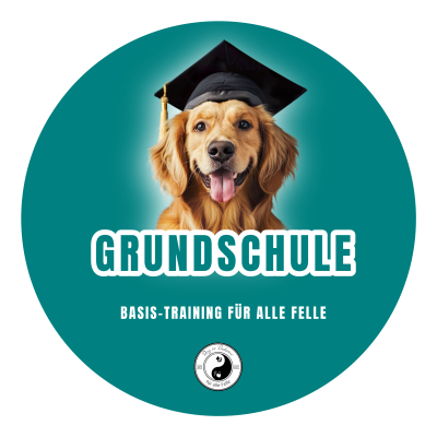 DIB-LOGO-62-DIB-LOGO-Grundschule