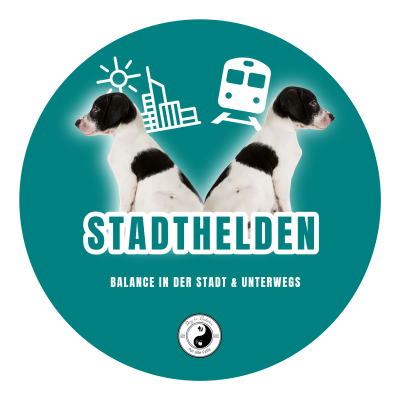 DIB-LOGO-63-DIB-LOGO-Stadthelden