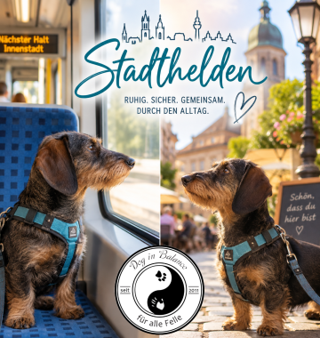 Stadthelden